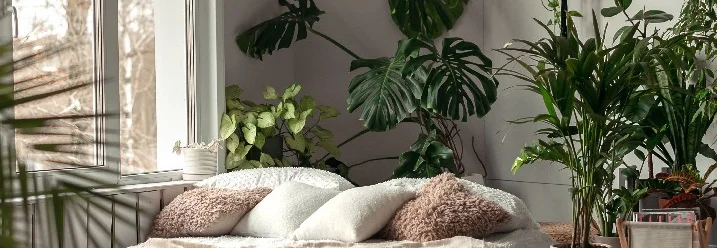 Helles Schlafzimmer mit vielen Pflanzen